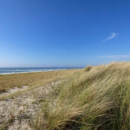 Bungalow, In A With Swimming Pool And Near The North Sea Holiday home Sint Maartensvlotbrug