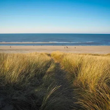 Feriehus Bungalow, In A With Swimming Pool And Near The North Sea *